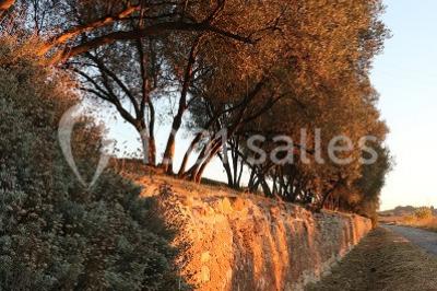 Miniature Location salle Ceyras (Hérault) - Le Mas Des Oliviers #2 Location salle Ceyras (Hérault) - Le Mas Des Oliviers #9