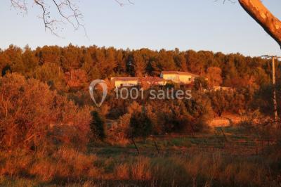 Le Mas Des Oliviers Le Mas Des Oliviers