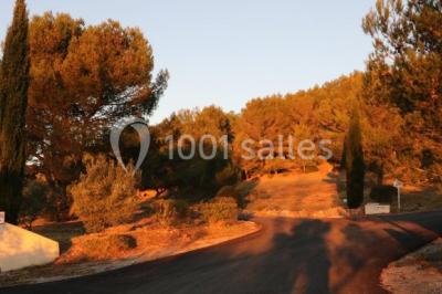 Miniature Location salle Ceyras (Hérault) - Le Mas Des Oliviers #3 Location salle Ceyras (Hérault) - Le Mas Des Oliviers #9