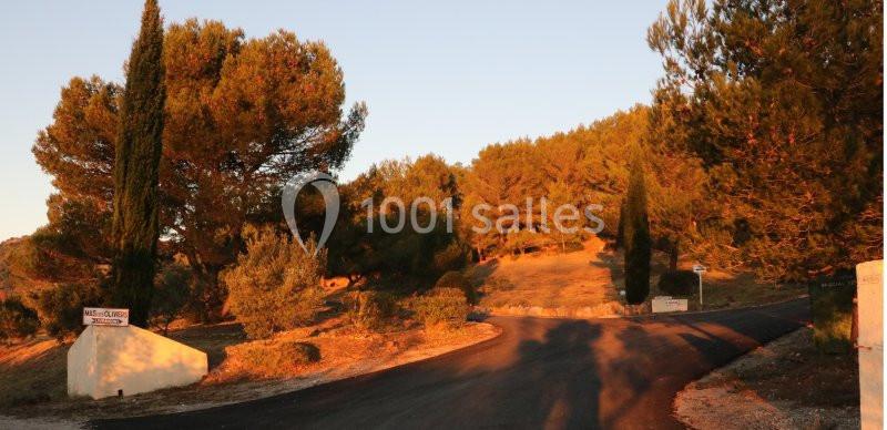 Location salle Ceyras (Hérault) - Le Mas Des Oliviers #3