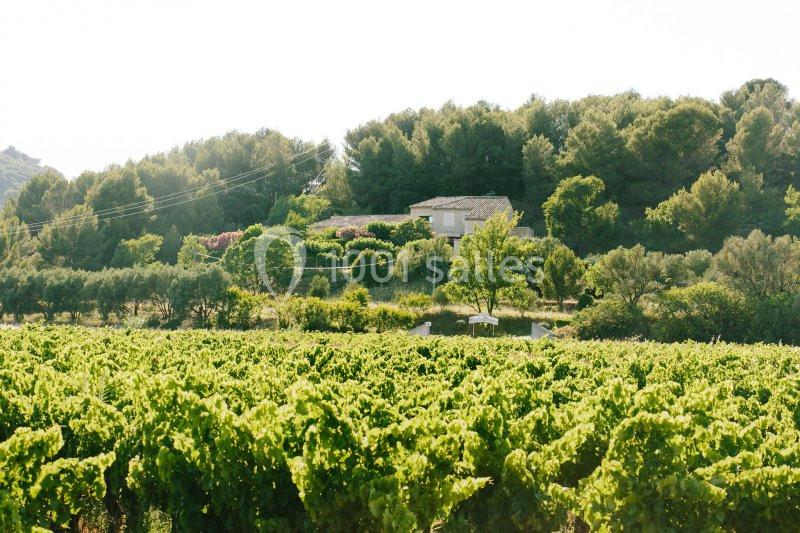 Location salle Ceyras (Hérault) - Le Mas Des Oliviers #5