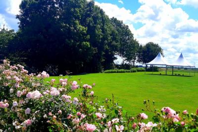 Miniature Location salle Saints (Seine-et-Marne) - Domaine Les Aulnois #17 Deux réfrigérateurs professionnels vides dans une pièce carrelée avec une table en inox au premier plan.
