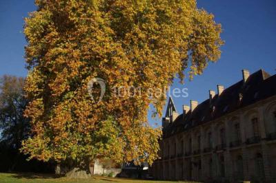 Location salle Longpont (Aisne) - Abbaye de Longpont #10