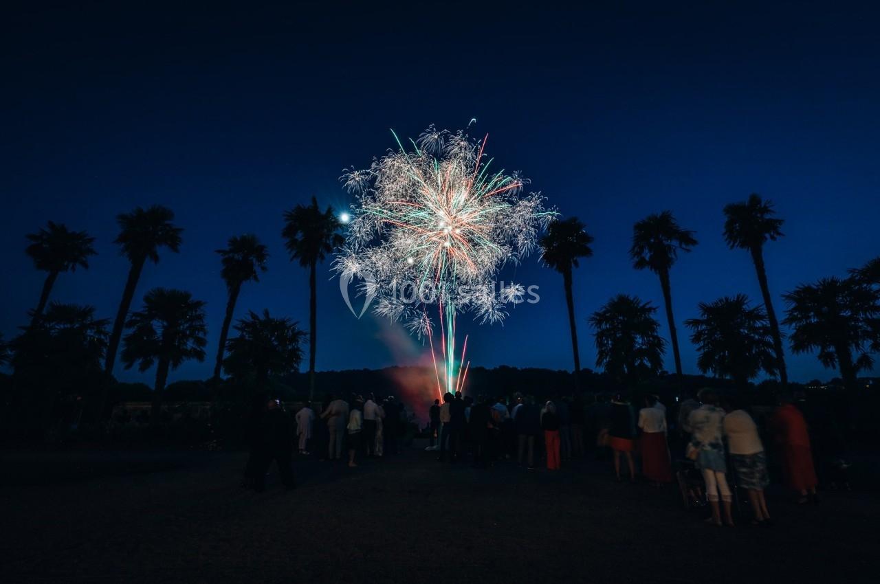Feu d'artifice illuminant le ciel nocturne, observé par une foule entourée de palmiers.