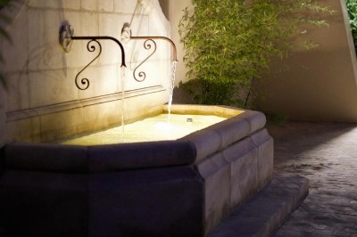 Un couple en tenue de mariage s'enlace dans un champ entouré d'oliviers sous une lumière douce.