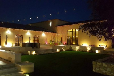 Un couple en tenue de mariage s'enlace dans un champ entouré d'oliviers sous une lumière douce.