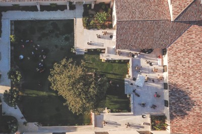 Un couple en tenue de mariage s'enlace dans un champ entouré d'oliviers sous une lumière douce.