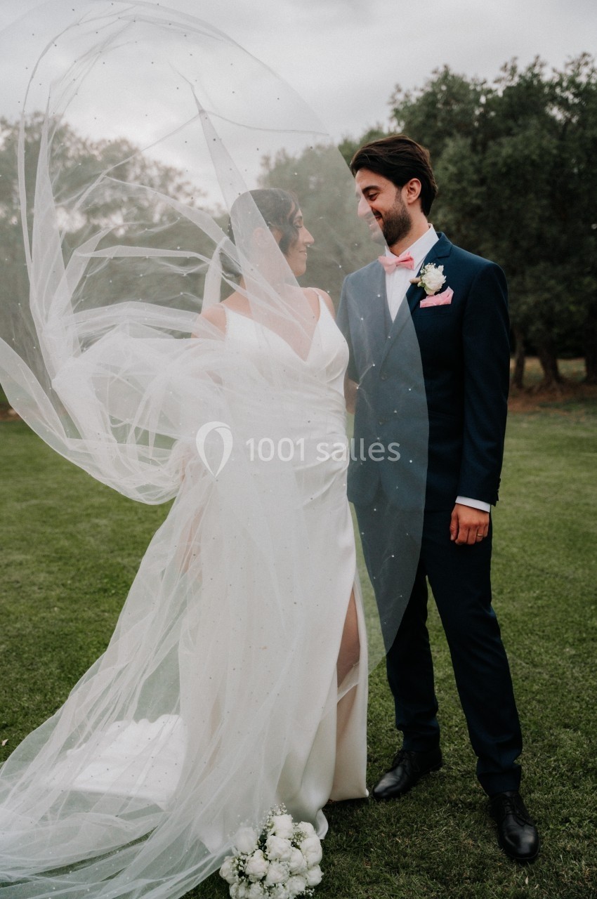 Un couple en tenue de mariage se tient debout sur une pelouse, le voile de la mariée flottant au vent.