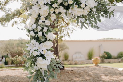Un couple en tenue de mariage s'enlace dans un champ entouré d'oliviers sous une lumière douce.