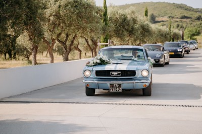 Un couple en tenue de mariage s'enlace dans un champ entouré d'oliviers sous une lumière douce.