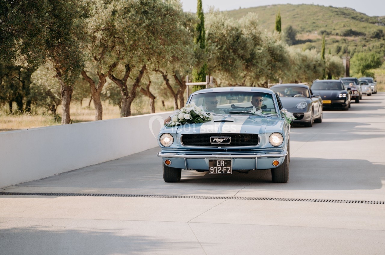 Voiture ancienne bleue décorée de fleurs avançant sur une allée bordée d'arbres, suivie par d'autres véhicules.