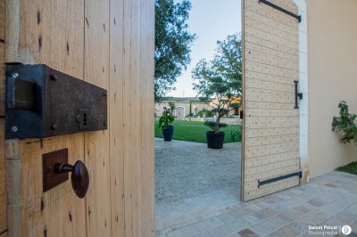 Un couple en tenue de mariage s'enlace dans un champ entouré d'oliviers sous une lumière douce.
