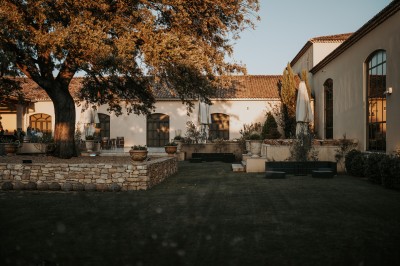 Un couple en tenue de mariage s'enlace dans un champ entouré d'oliviers sous une lumière douce.