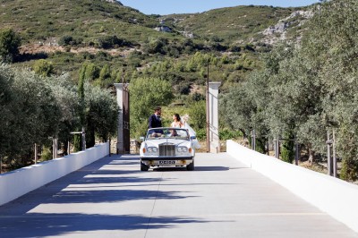 Un couple en tenue de mariage s'enlace dans un champ entouré d'oliviers sous une lumière douce.