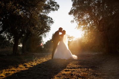 Un couple en tenue de mariage s'enlace dans un champ entouré d'oliviers sous une lumière douce.