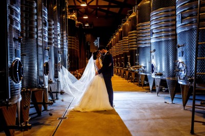 Un couple en tenue de mariage s'enlace dans un champ entouré d'oliviers sous une lumière douce.
