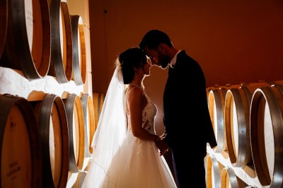 Un couple en tenue de mariage s'enlace dans un champ entouré d'oliviers sous une lumière douce.