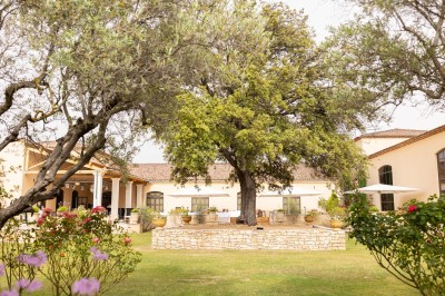 Un couple en tenue de mariage s'enlace dans un champ entouré d'oliviers sous une lumière douce.