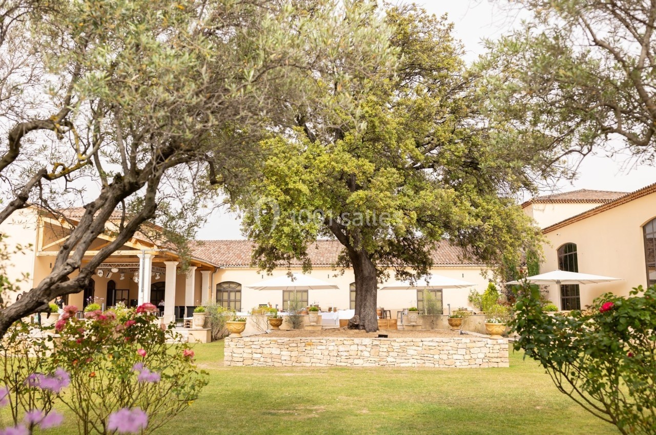 Cour extérieure avec un grand arbre central, entourée de bâtiments en pierre et de végétation fleurie.