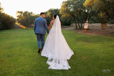 Un couple en tenue de mariage s'enlace dans un champ entouré d'oliviers sous une lumière douce.