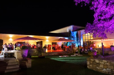 Un couple en tenue de mariage s'enlace dans un champ entouré d'oliviers sous une lumière douce.