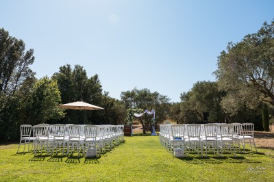 Un couple en tenue de mariage s'enlace dans un champ entouré d'oliviers sous une lumière douce.