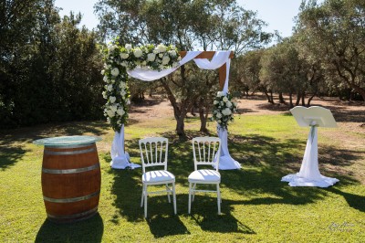 Un couple en tenue de mariage s'enlace dans un champ entouré d'oliviers sous une lumière douce.