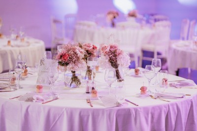Un couple en tenue de mariage s'enlace dans un champ entouré d'oliviers sous une lumière douce.