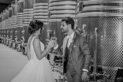 Un couple en tenue de mariage s'enlace dans un champ entouré d'oliviers sous une lumière douce.