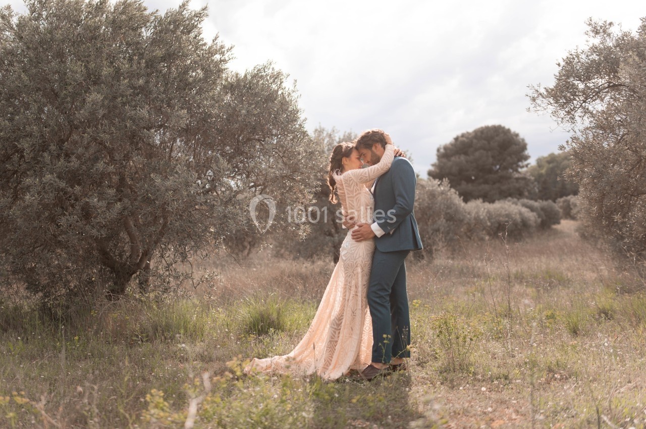 Un couple en tenue de mariage s'enlace dans un champ entouré d'oliviers sous une lumière douce.