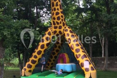 Location salle Vendeuvre-du-Poitou (Vienne) - Château Baillant #24