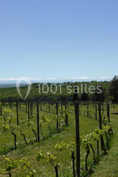 Location salle Beaumont-sur-Lèze (Haute-Garonne) - Domaine De Ribonnet #10