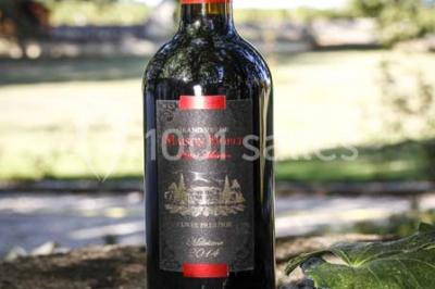 Location salle Saint-Martin-du-Puy (Gironde) - Château Maison Noble St Martin #6