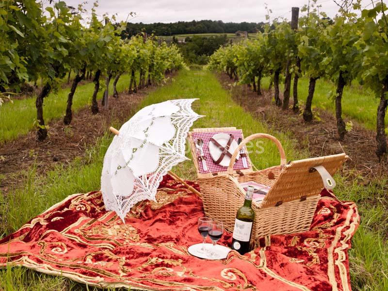 Location salle Saint-Martin-du-Puy (Gironde) - Château Maison Noble St Martin #3