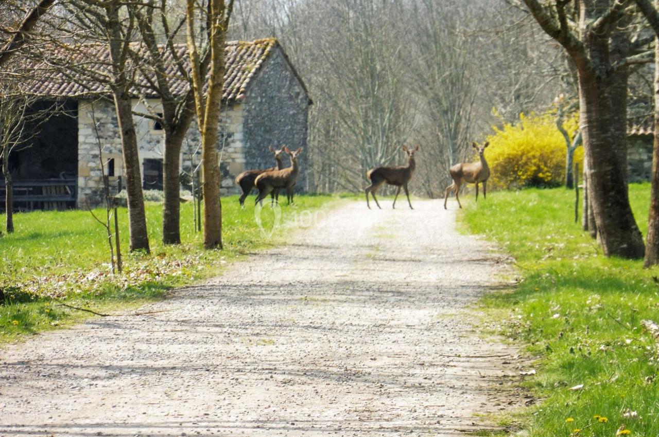 Location salle Saint-Martory (Haute-Garonne) - Château de Saint Martory #25