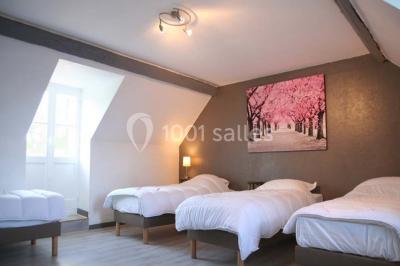 Deux canapés gris dans un salon lumineux avec une grande fenêtre, une lampe allumée et des décorations murales.