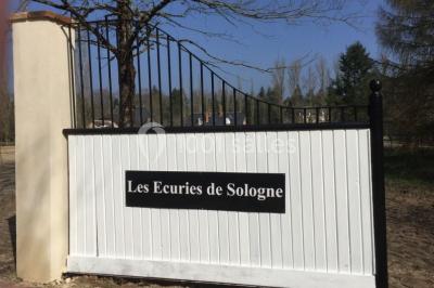 Deux canapés gris dans un salon lumineux avec une grande fenêtre, une lampe allumée et des décorations murales.