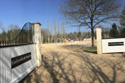 Deux canapés gris dans un salon lumineux avec une grande fenêtre, une lampe allumée et des décorations murales.