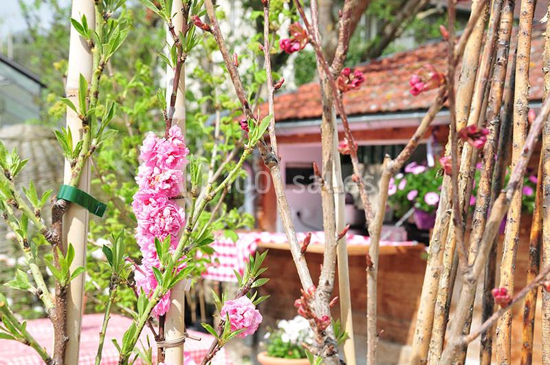 Location salle Giverny (Eure) - La Capucine #13