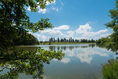 Location salle Châtillon-la-Palud (Ain) - Domaine De L'etang Corcelle #17