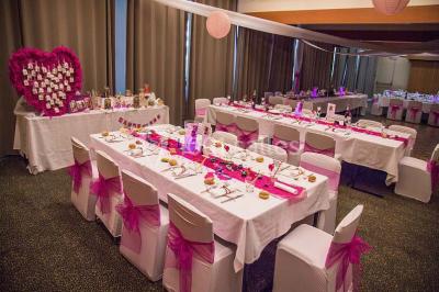 Location salle Valbonne (Alpes-Maritimes) - Novotel Antibes Sophia Antipolis #14