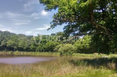 Location salle Montbeugny (Allier) - Hameau des Damayots #20