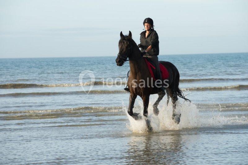 Location salle Erquy (Côtes-d'Armor) - Roz Armor #13