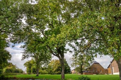 Les Lavandières de Fontaine Les Lavandières de Fontaine