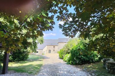 Chemin en pierre menant à une petite maison en bois entourée de végétation dense et ombragée.