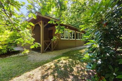 Chemin en pierre menant à une petite maison en bois entourée de végétation dense et ombragée.