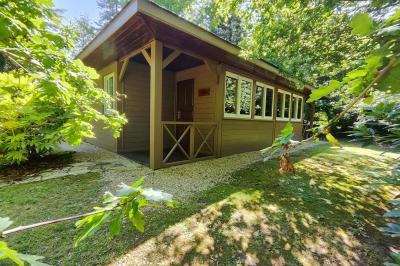 Chemin en pierre menant à une petite maison en bois entourée de végétation dense et ombragée.