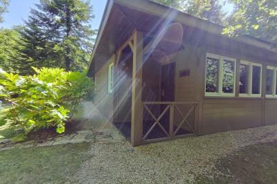 Chemin en pierre menant à une petite maison en bois entourée de végétation dense et ombragée.