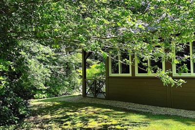 Chemin en pierre menant à une petite maison en bois entourée de végétation dense et ombragée.
