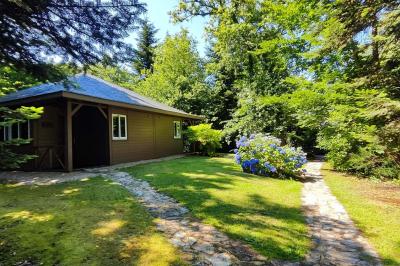 Chemin en pierre menant à une petite maison en bois entourée de végétation dense et ombragée.